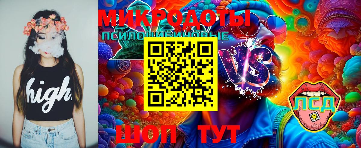 Воткинск  Псилоцибиновые грибы GOLDEN TEACHER  Псилоцибиновые грибы мицелий  Вход с VPN 
